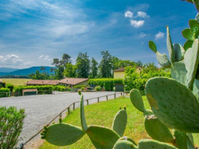 Holiday Home I Pini by Interhome San Macario In Monte